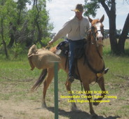 Cavalry Intermediate Saber Training (Mounted)