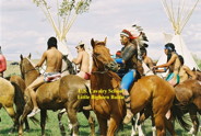 Little Bighorn Reenactment, Indian Braves, Crow Agency, MT